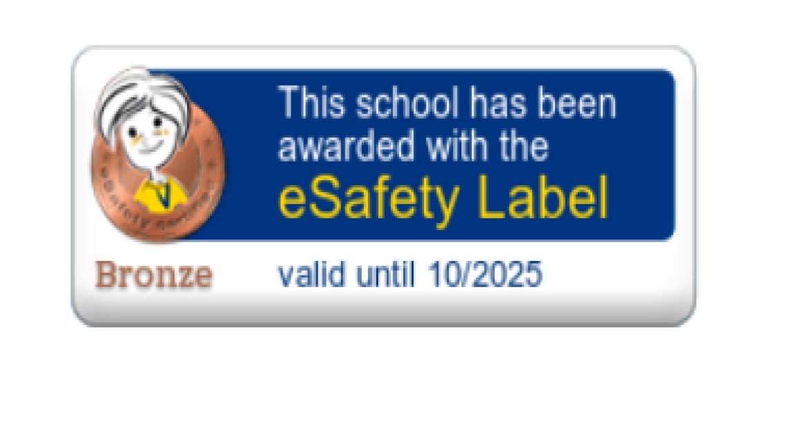 E-Safety Bronz Etiketimizi Aldık